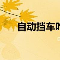 自动挡车咋开（自动挡车怎么开省油）
