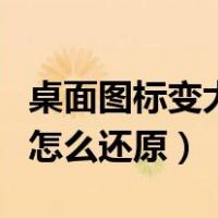 桌面图标变大了怎么还原呢（桌面图标变大了怎么还原）
