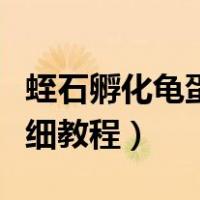 蛭石孵化龟蛋详细教程图解（蛭石孵化龟蛋详细教程）