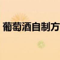 葡萄酒自制方法步骤（葡萄酒自制详细方法）