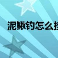 泥鳅钓怎么挂钩（泥鳅钓鱼如何挂钩图片）