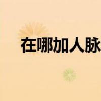 在哪加人脉做微商（怎么加人脉做微商）