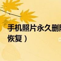 手机照片永久删除如何恢复到相册（苹果手机照片误删怎么恢复）