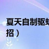 夏天自制驱蚊小妙招视频（夏天自制驱蚊小妙招）