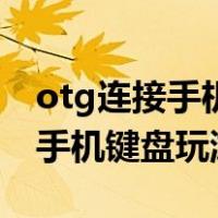otg连接手机键盘玩游戏怎么设置（otg连接手机键盘玩游戏）
