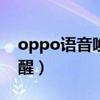 oppo语音唤醒口令怎么开启（oppo语音唤醒）