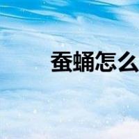 蚕蛹怎么做好吃（油炸蚕蛹的做法）