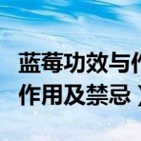 蓝莓功效与作用及禁忌症有哪些（蓝莓功效与作用及禁忌）