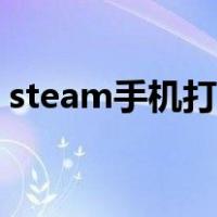 steam手机打不开商店（steam手机打不开）