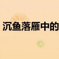 沉鱼落雁中的落雁指的是谁（落雁指的是谁）