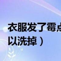 衣服发了霉点用什么可以洗掉（霉点用什么可以洗掉）