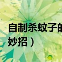 自制杀蚊子的小妙招有哪些（自制杀蚊子的小妙招）