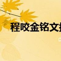 程咬金铭文搭配2021（程咬金铭文搭配）