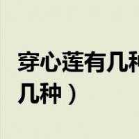 穿心莲有几种最有药用价值是那种（穿心莲有几种）