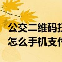 公交二维码扫码乘车软件下载（深圳坐公交车怎么手机支付）