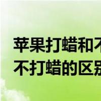 苹果打蜡和不打蜡的区别的图片（苹果打蜡和不打蜡的区别）