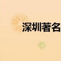 深圳著名景点照片（深圳著名景点）