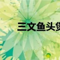 三文鱼头煲粥做法大全（三文鱼头煲）