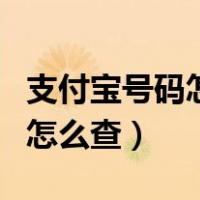 支付宝号码怎么查别人的手机号（支付宝号码怎么查）