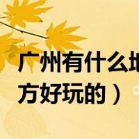 广州有什么地方好玩的带小孩（广州有什么地方好玩的）