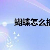 蝴蝶怎么折视频慢（蝴蝶怎么折视频）