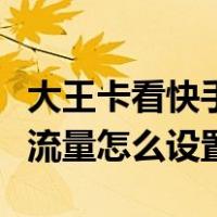 大王卡看快手免流量怎么设置（大王卡快手免流量怎么设置）