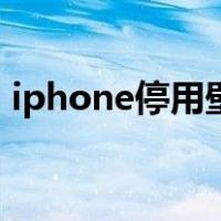 iphone停用壁纸恶搞（iphone已停用壁纸）