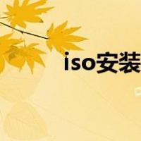 iso安装步骤（iso系统怎么安装）
