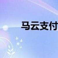 马云支付平台（马云怎么看云支付）