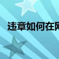 违章如何在网上缴费（违章网上怎么缴费）