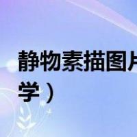 静物素描图片高清临摹入门（静物素描图片初学）
