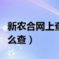 新农合网上查询怎么查询（新农合网上查询怎么查）