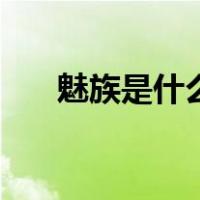 魅族是什么手机品牌（查找手机魅族）