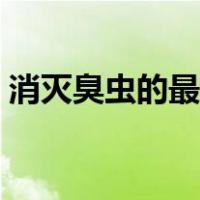 消灭臭虫的最佳办法（什么药杀臭虫最有效）