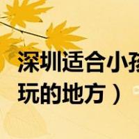 深圳适合小孩玩的地方在哪里（深圳适合小孩玩的地方）