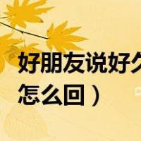 好朋友说好久不见怎么回答（朋友说好久不见怎么回）
