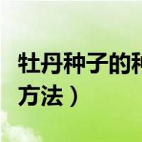 牡丹种子的种植方法和时间（牡丹种子的种植方法）