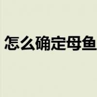 怎么确定母鱼要生产了（鱼是怎么生小鱼的）