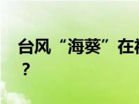 台风“海葵”在福建东山登陆 这是什么情况？