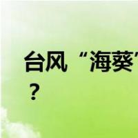 台风“海葵”在福建东山登陆 这是什么情况？