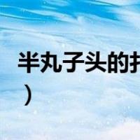 半丸子头的扎法视频教程卜（半丸子头的扎法）