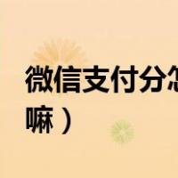 微信支付分怎么提高（微信支付分707分能干嘛）