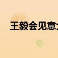 王毅会见意大利外交部长 这是什么情况？