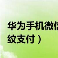 华为手机微信指纹支付没了（华为手机微信指纹支付）