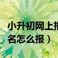 小升初网上报名怎么报名步骤（小升初网上报名怎么报）