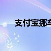 支付宝挪车码怎么贴（支付宝挪车码）