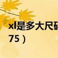 xl是多大尺码175还是170（xl号是170还是175）