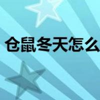 仓鼠冬天怎么保暖最好（仓鼠冬天怎么保暖）