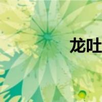 龙吐珠鱼图片（龙吐珠鱼）