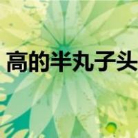 高的半丸子头怎么扎（半高丸子头扎发教程）